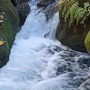 Apartamento Azahares Turistico, El Bosque